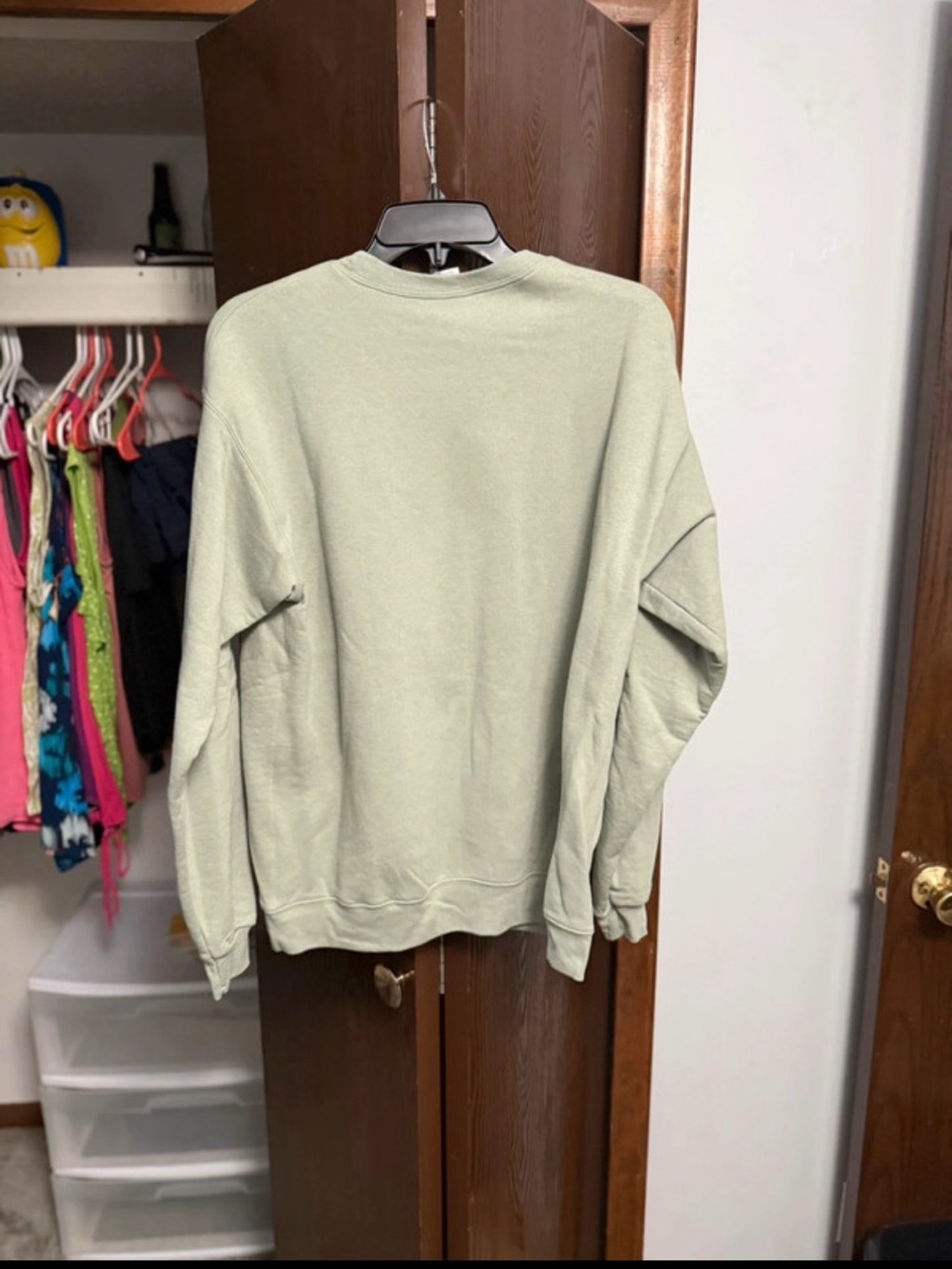 Hanes Men's Crewneck Sweater — Sage Green